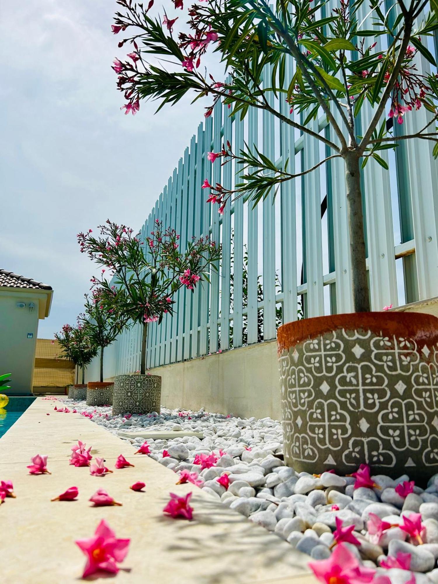 Bed and Breakfast Alma Rezidence Turda Zewnętrze zdjęcie